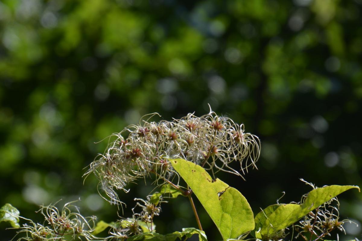 Rielingerhof 03.09.2019